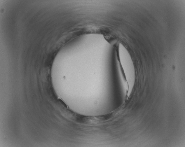 X0000077330229200611101532