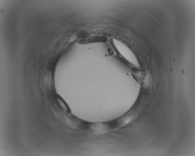 X0000077330231200611101532