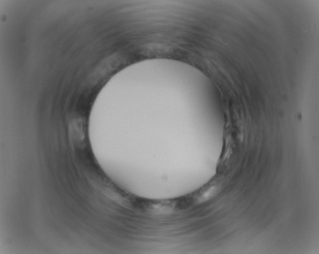 X0000077330232200611101532