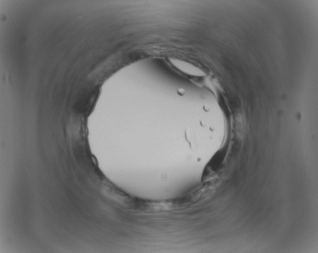 X0000077330233200611101532