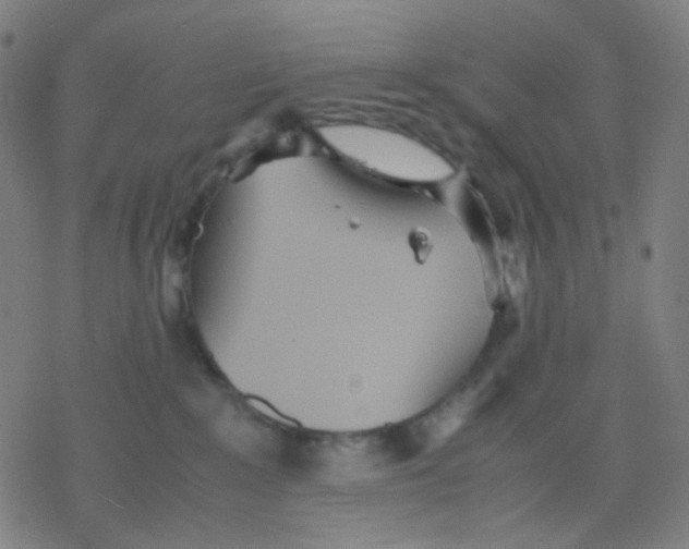 X0000077330235200611101531