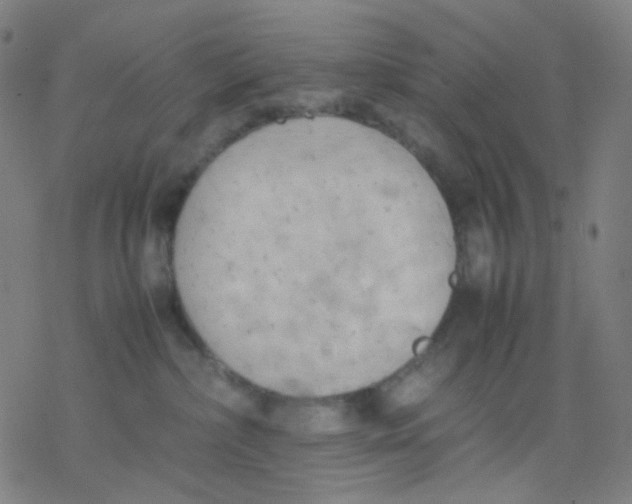 X0000077330236200611101531