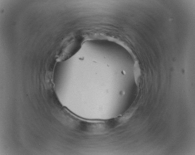 X0000077330237200611101531