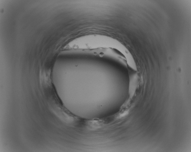 X0000077330239200611101531