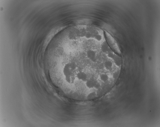 X0000077330241200611101531