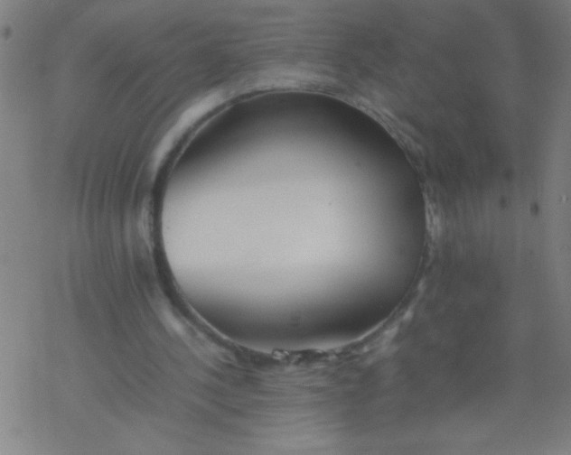 X0000077330244200611101531