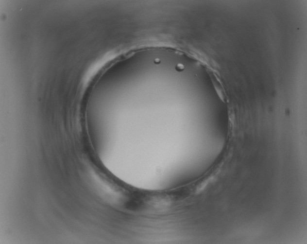 X0000077330248200611101531