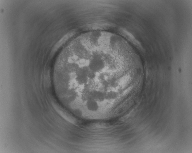 X0000077330250200611101531