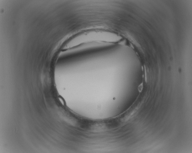 X0000077330252200611101531