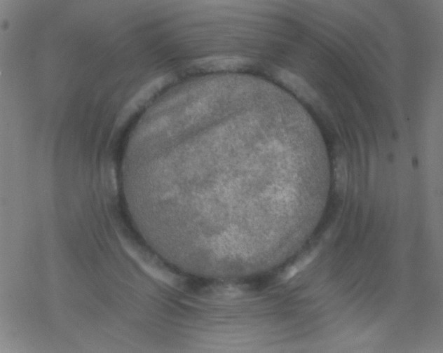 X0000077330254200611101531