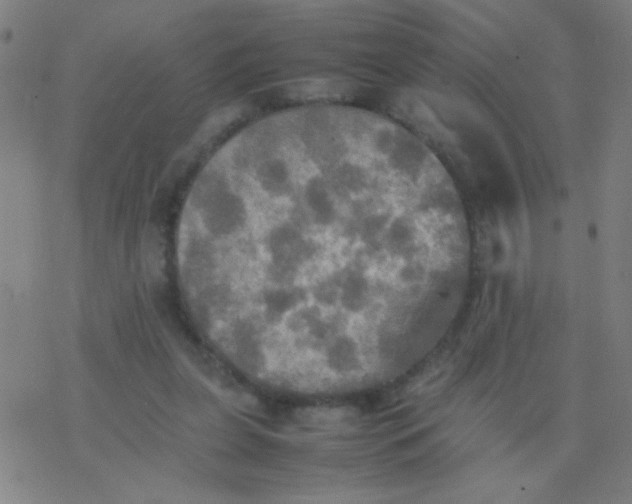 X0000077330255200611101531