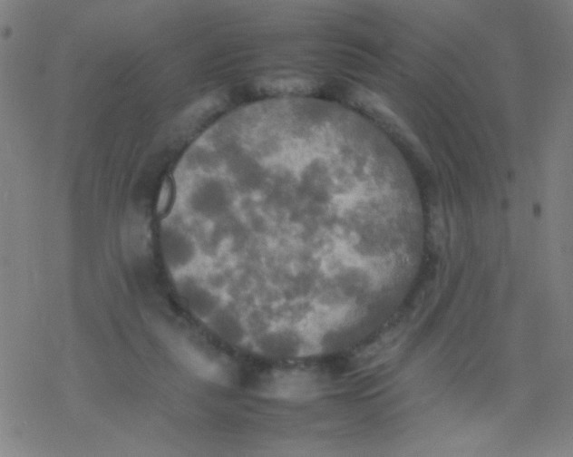 X0000077330259200611101531