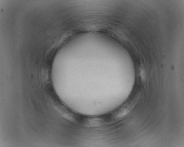 X0000077330268200611101531