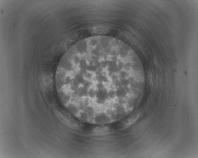 X0000077330271200611101531