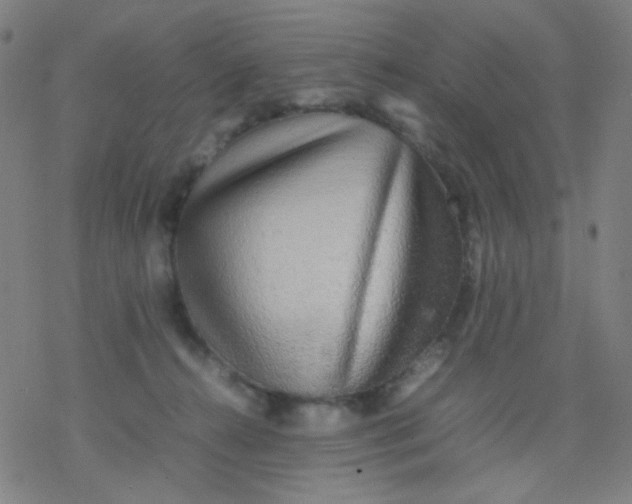 X0000077330272200611101531