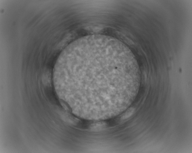 X0000077330274200611101531