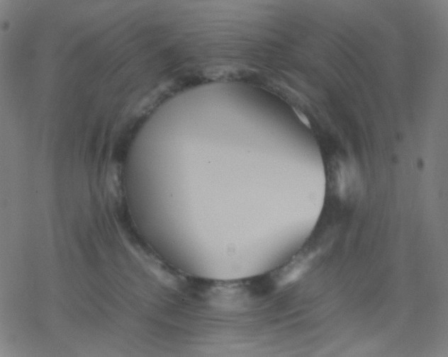 X0000077330280200611101531