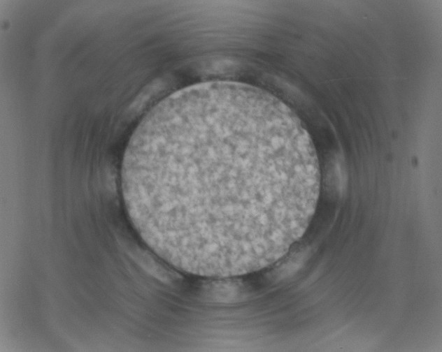 X0000077330282200611101531