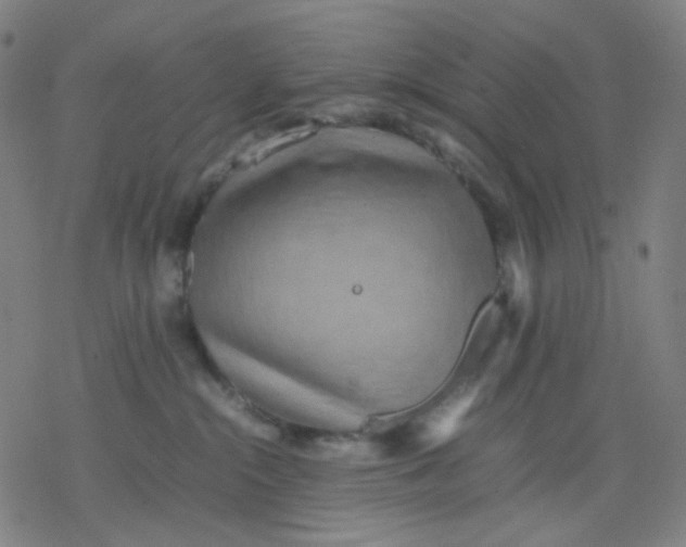 X0000077330284200611101531