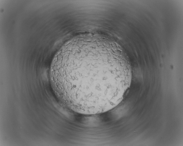 X0000077330286200611101531