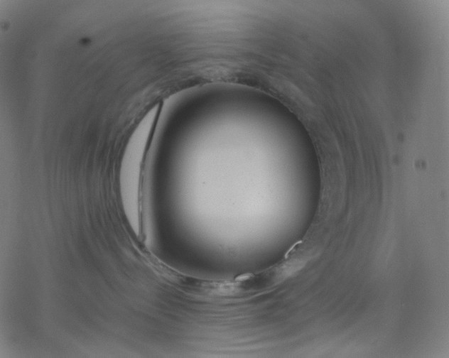 X0000077330288200611101531