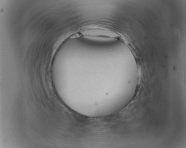 X0000077330289200611101531