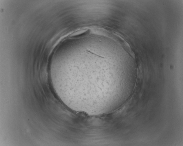 X0000077330290200611101531