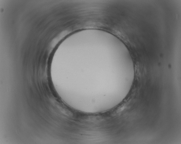 X0000077330292200611101531