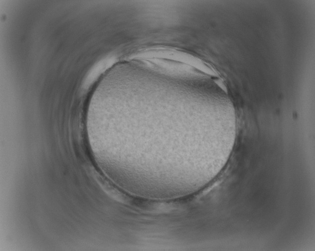 X0000077330293200611101531