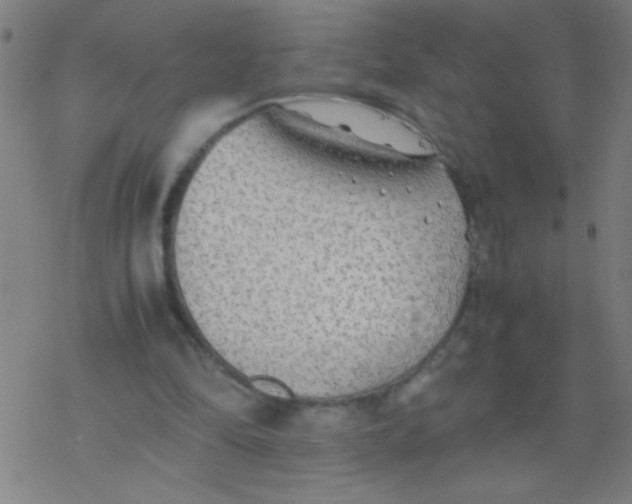 X0000077330294200611101531