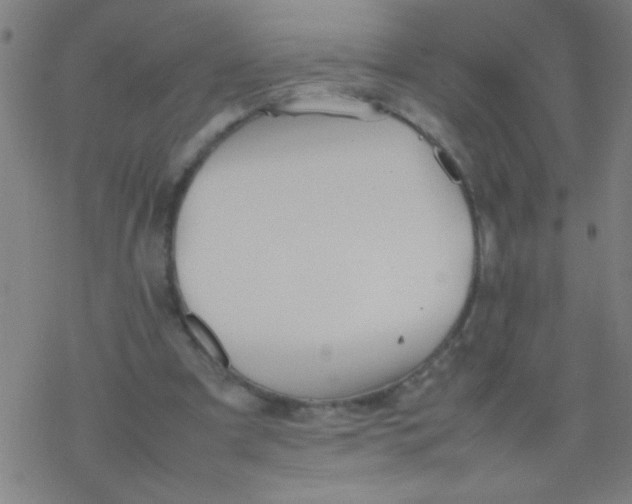 X0000077330297200611101530