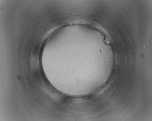 X0000077330298200611101530