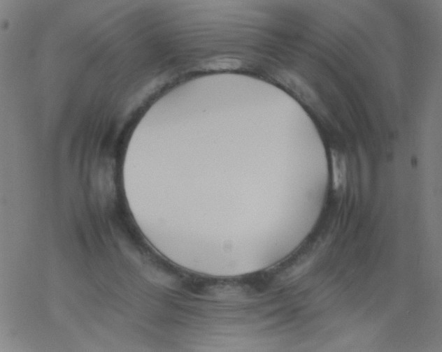 X0000077330300200611101530