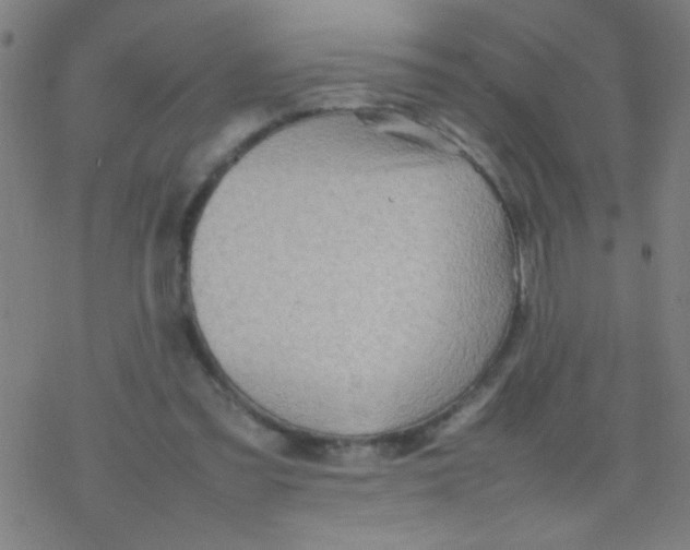 X0000077330301200611101530