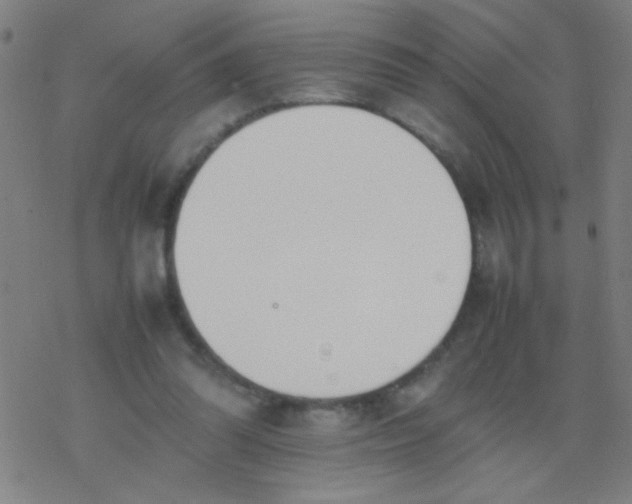 X0000077330302200611101530