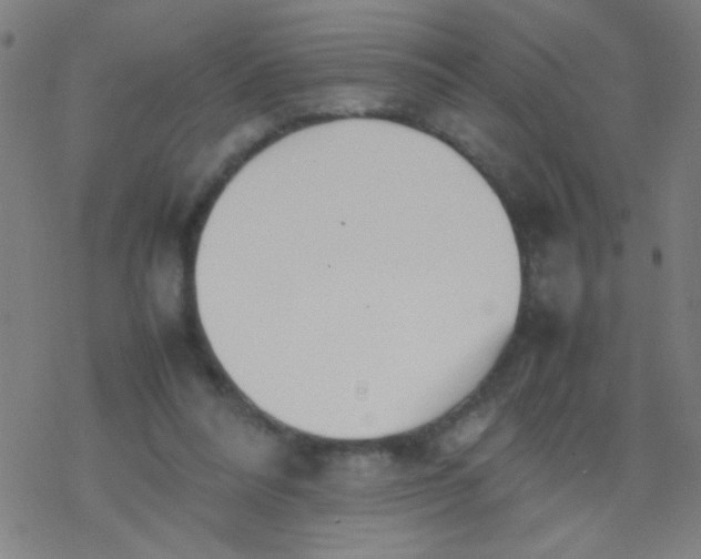 X0000077330304200611101530