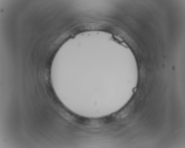 X0000077330305200611101530