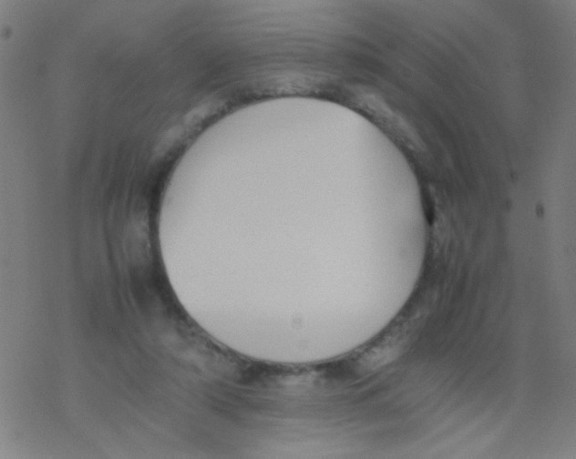 X0000077330306200611101530