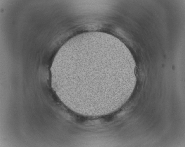 X0000077330307200611101530