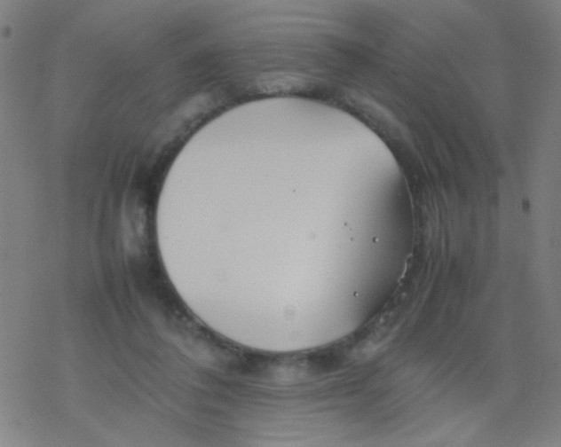 X0000077330308200611101530