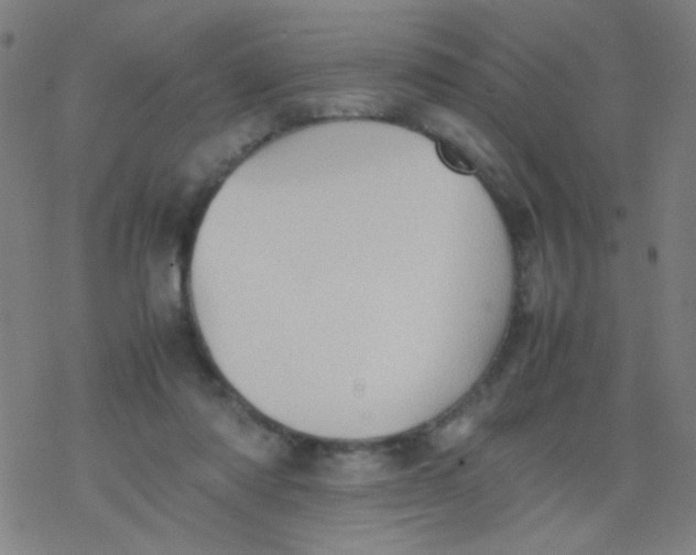 X0000077330310200611101530