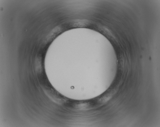 X0000077330312200611101530