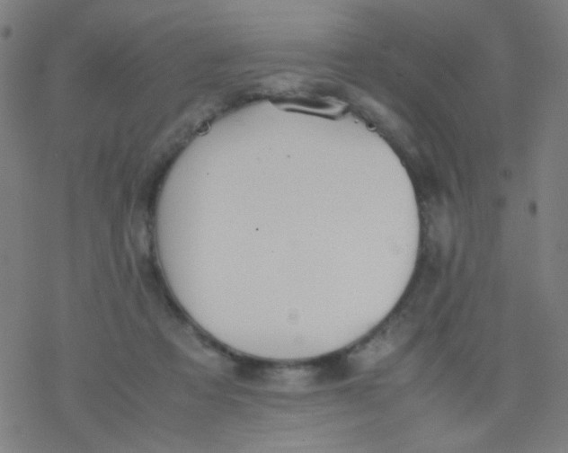 X0000077330313200611101530