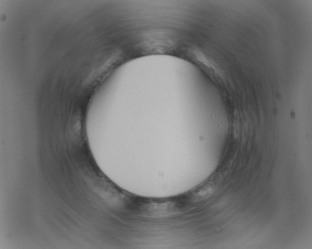 X0000077330314200611101530