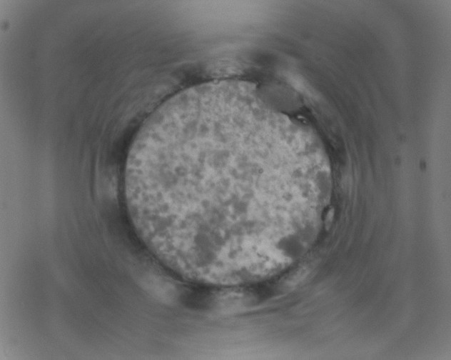 X0000077330315200611101530