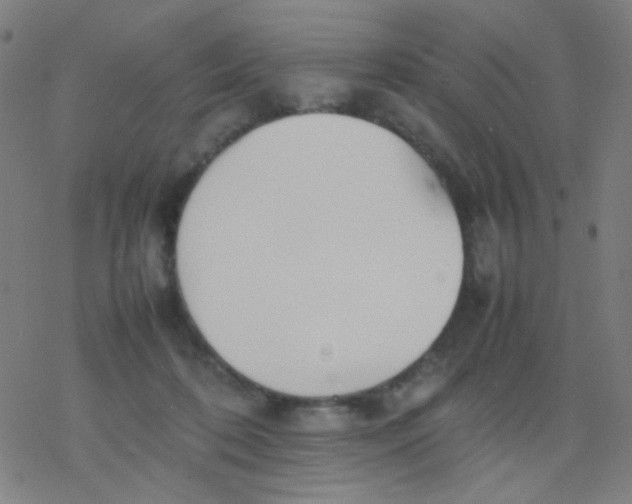 X0000077330316200611101530