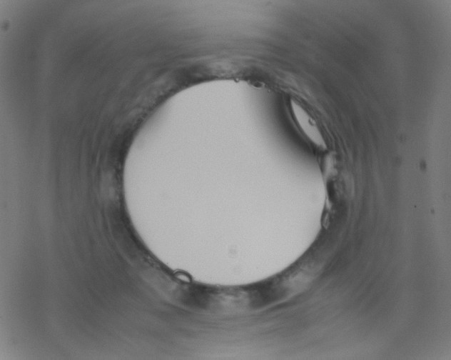 X0000077330317200611101530