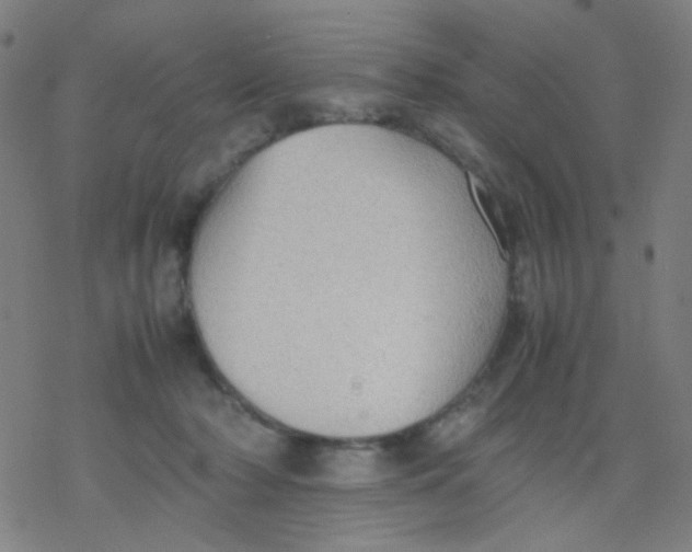 X0000077330318200611101530