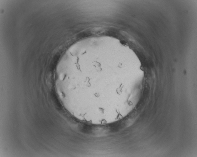 X0000077330319200611101530