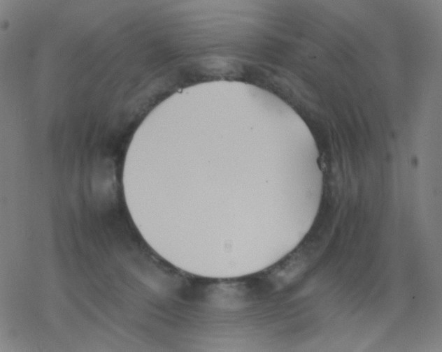 X0000077330320200611101530